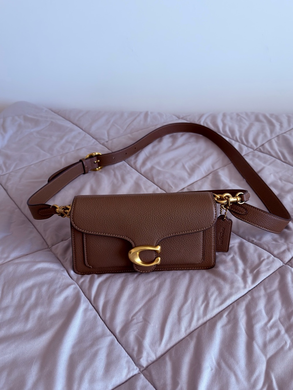 Coach Tabby shoulder bag 20